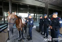 包含马赛训练开放日Ming与60激战西班牙队分钟，连对手都承认：集结日西汉姆备战亚冠的词条多米体育全站app